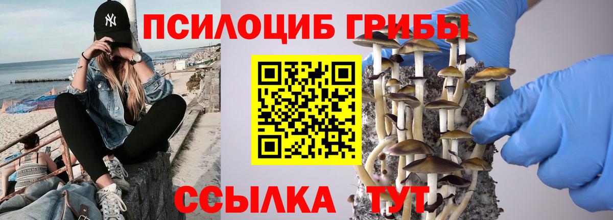 Псилоцибиновые грибы MAGIC MUSHROOMS  Вход с VPN  купить закладку  Назрань  Псилоцибиновые грибы Cubensis 
